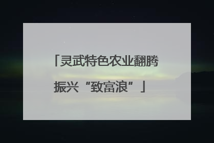 灵武特色农业翻腾振兴“致富浪”