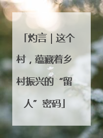灼言｜这个村，蕴藏着乡村振兴的“留人”密码