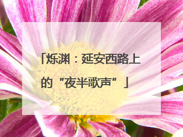 烁渊：延安西路上的“夜半歌声”