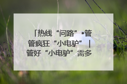 热线“问路”•管管疯狂“小电驴”｜管好“小电驴”需多部门形成合力