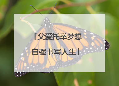 父爱托举梦想 自强书写人生
