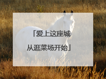 爱上这座城 从逛菜场开始