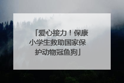 爱心接力！保康小学生救助国家保护动物冠鱼狗