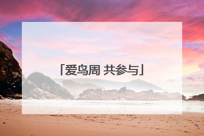 爱鸟周 共参与