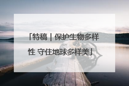 特稿｜保护生物多样性 守住地球多样美