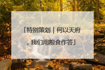 特别策划｜何以天府，我们用粮食作答