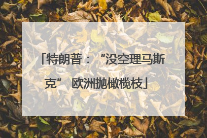 特朗普：“没空理马斯克” 欧洲抛橄榄枝