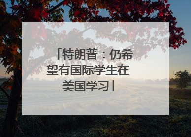 特朗普：仍希望有国际学生在美国学习