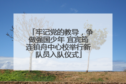 牢记党的教导，争做强国少年 宜宾筠连镇舟中心校举行新队员入队仪式