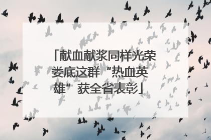 献血献浆同样光荣 娄底这群“热血英雄”获全省表彰