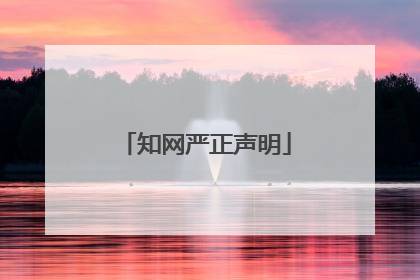 知网严正声明