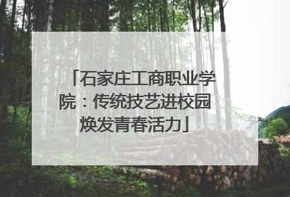 石家庄工商职业学院：传统技艺进校园焕发青春活力
