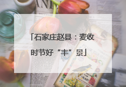 石家庄赵县：麦收时节好“丰”景