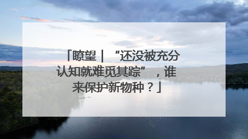 瞭望｜“还没被充分认知就难觅其踪”，谁来保护新物种？
