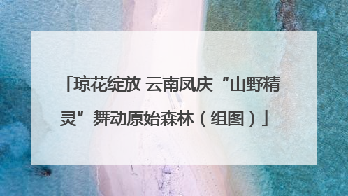 琼花绽放 云南凤庆“山野精灵”舞动原始森林（组图）