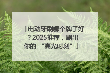 电动牙刷哪个牌子好？2025推荐，刷出你的 “高光时刻”