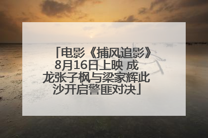 电影《捕风追影》8月16日上映 成龙张子枫与梁家辉此沙开启警匪对决