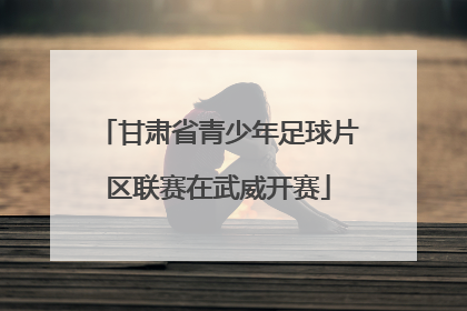 甘肃省青少年足球片区联赛在武威开赛