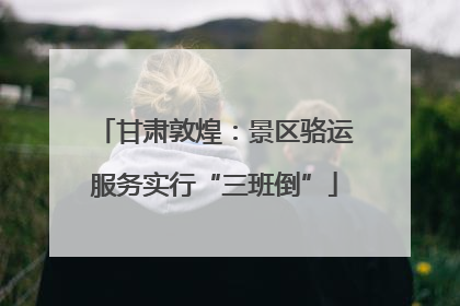 甘肃敦煌：景区骆运服务实行“三班倒”