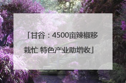 甘谷：4500亩辣椒移栽忙 特色产业助增收