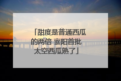甜度是普通西瓜的两倍 襄阳首批太空西瓜熟了