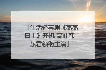 生活轻喜剧《蒸蒸日上》开机 高叶韩东君领衔主演