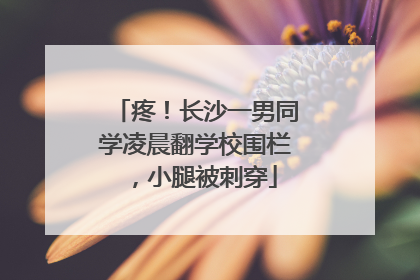 疼！长沙一男同学凌晨翻学校围栏，小腿被刺穿