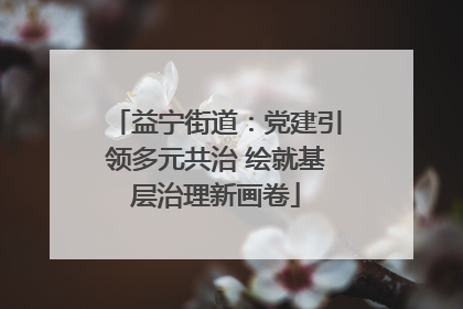 益宁街道：党建引领多元共治 绘就基层治理新画卷