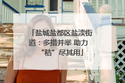 盐城盐都区盐渎街道：多措并举 助力“秸”尽其用