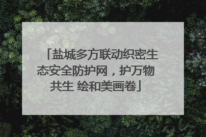 盐城多方联动织密生态安全防护网，护万物共生 绘和美画卷