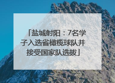 盐城射阳：7名学子入选省橄榄球队并接受国家队选拔