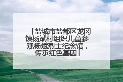 盐城市盐都区龙冈镇杨斌村组织儿童参观杨斌烈士纪念馆，传承红色基因