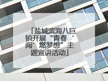 盐城滨海八巨镇开展“青春‘阅’燃梦想”主题宣讲活动