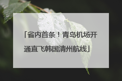 省内首条！青岛机场开通直飞韩国清州航线