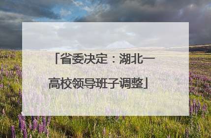 省委决定：湖北一高校领导班子调整