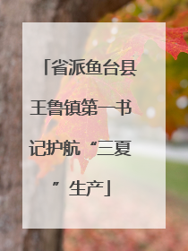省派鱼台县王鲁镇第一书记护航“三夏”生产