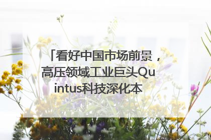 看好中国市场前景，高压领域工业巨头Quintus科技深化本土策略，构建全方位服务亚太区总部