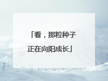 看，那粒种子正在向阳成长