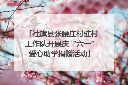 社旗县张腰庄村驻村工作队开展庆“六一”爱心助学捐赠活动