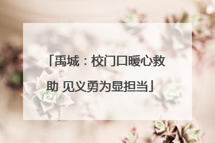 禹城：校门口暖心救助 见义勇为显担当