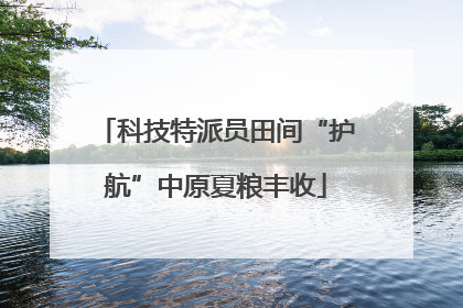 科技特派员田间“护航”中原夏粮丰收
