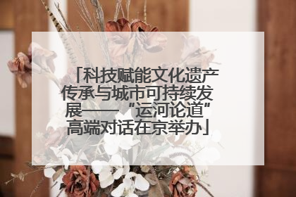 科技赋能文化遗产传承与城市可持续发展——“运河论道”高端对话在京举办