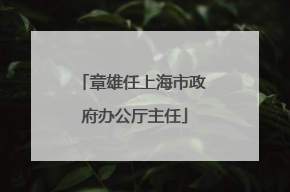 章雄任上海市政府办公厅主任