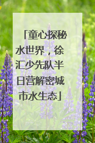 童心探秘水世界，徐汇少先队半日营解密城市水生态