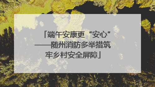 端午安康更“安心”——随州消防多举措筑牢乡村安全屏障