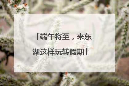 端午将至，来东湖这样玩转假期
