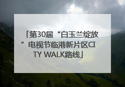 第30届“白玉兰绽放”电视节临港新片区CITY WALK路线