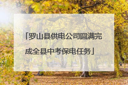 罗山县供电公司圆满完成全县中考保电任务