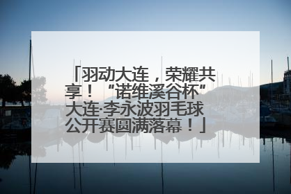 羽动大连，荣耀共享！“诺维溪谷杯”大连·李永波羽毛球公开赛圆满落幕！