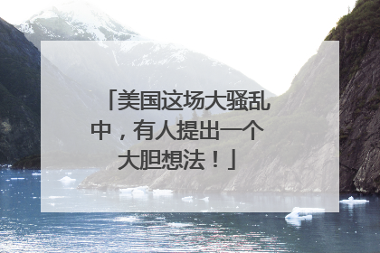 美国这场大骚乱中，有人提出一个大胆想法！